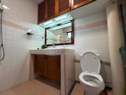 Blk 145 Eunos Spring (Bedok), HDB Executive #502286201